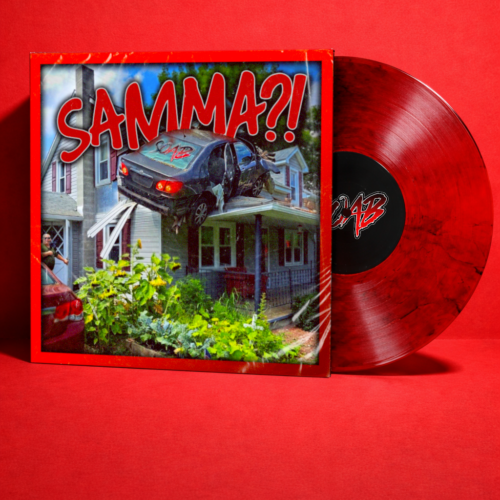 VinylnMockup SAMMA SAMMA?! (VINYL)